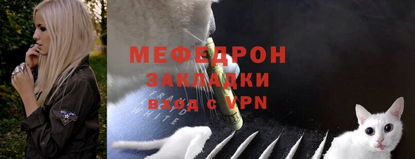 индика Михайловск