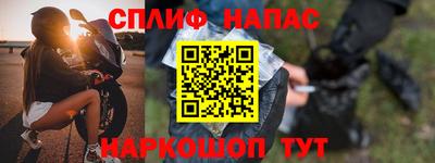 спиды Гатчина