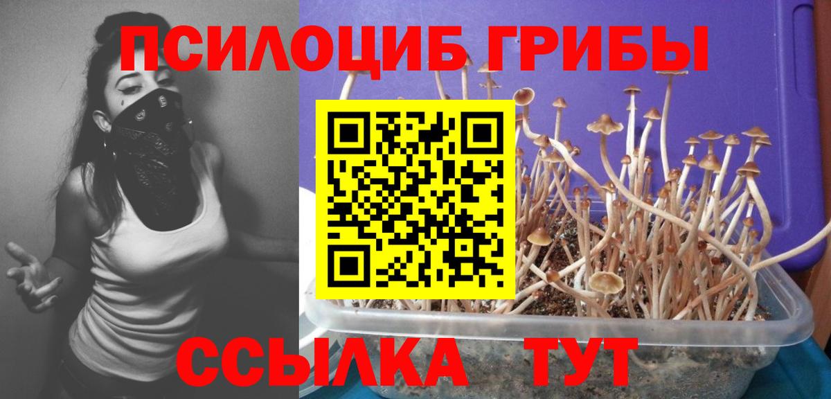 Псилоцибиновые грибы ЛСД  Вход с VPN  Новоуральск  Псилоцибиновые грибы Magic Shrooms 